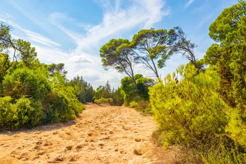 Cycling and Hiking